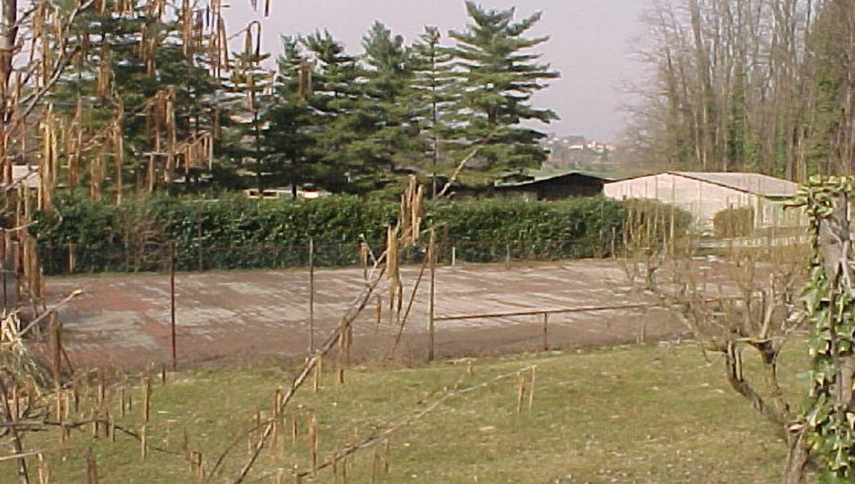 tennis