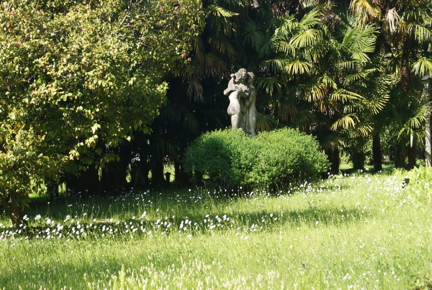 Dettagli parco