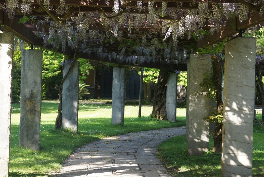 giardino dettagli