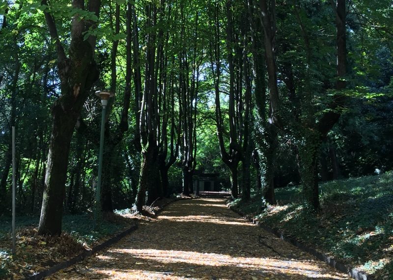 parco piantumato