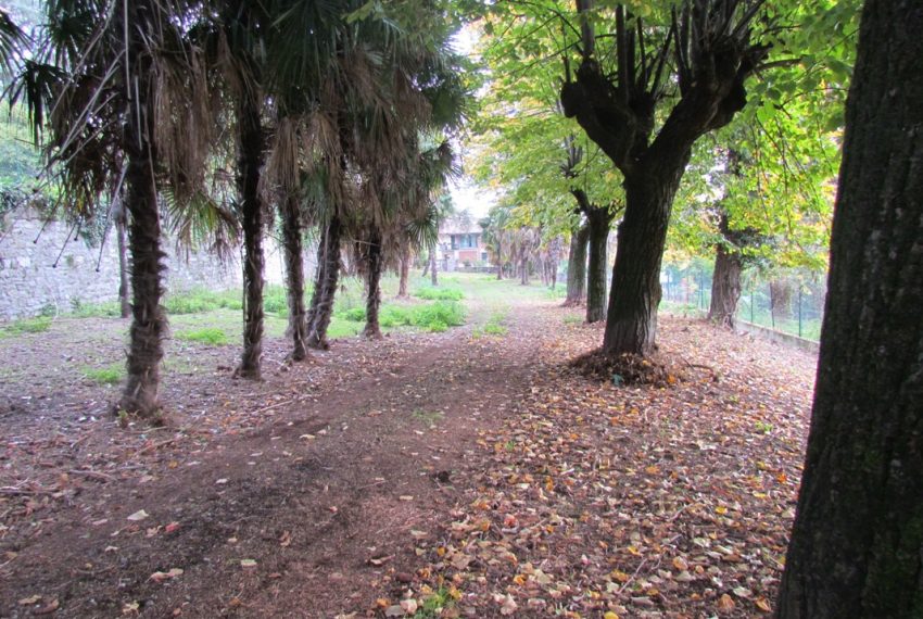 viale d'ingresso