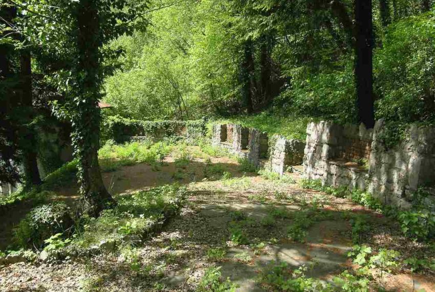 Verde che circonda la zona