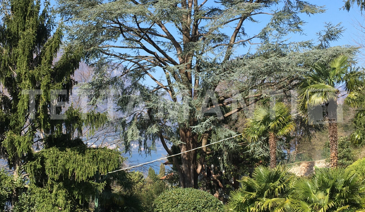 villa lago di como7